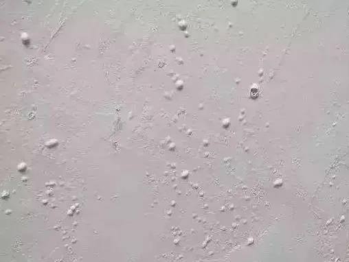 1_200911115720_1 首页 - 欧博ABG集团官网登录